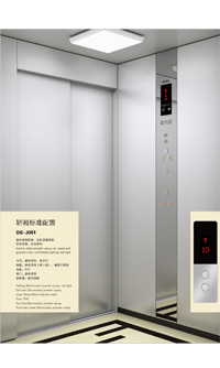 DS-G001